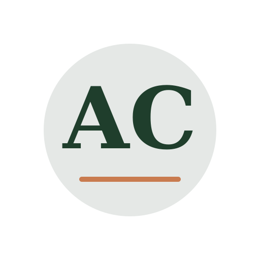 Amber Chimney Repair logo